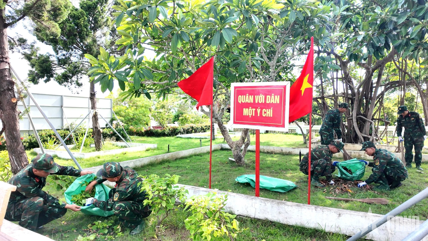 Để đảo xanh thêm xanh